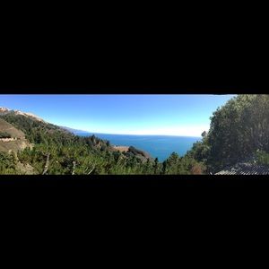 Meet your Posher, Trish